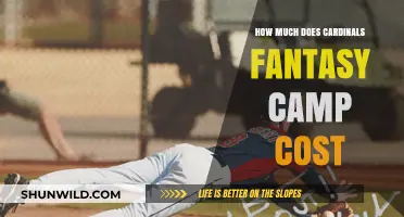 Cardinals Fantasy Camp Cost: What to Expect for Your Dream Experience