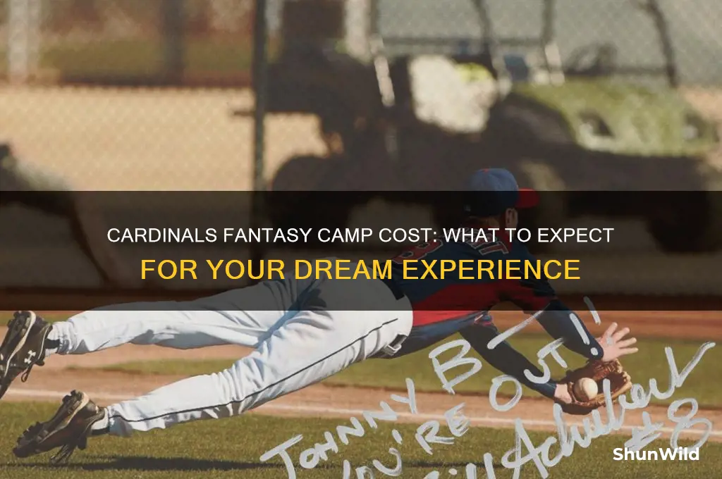 how much does cardinals fantasy camp cost