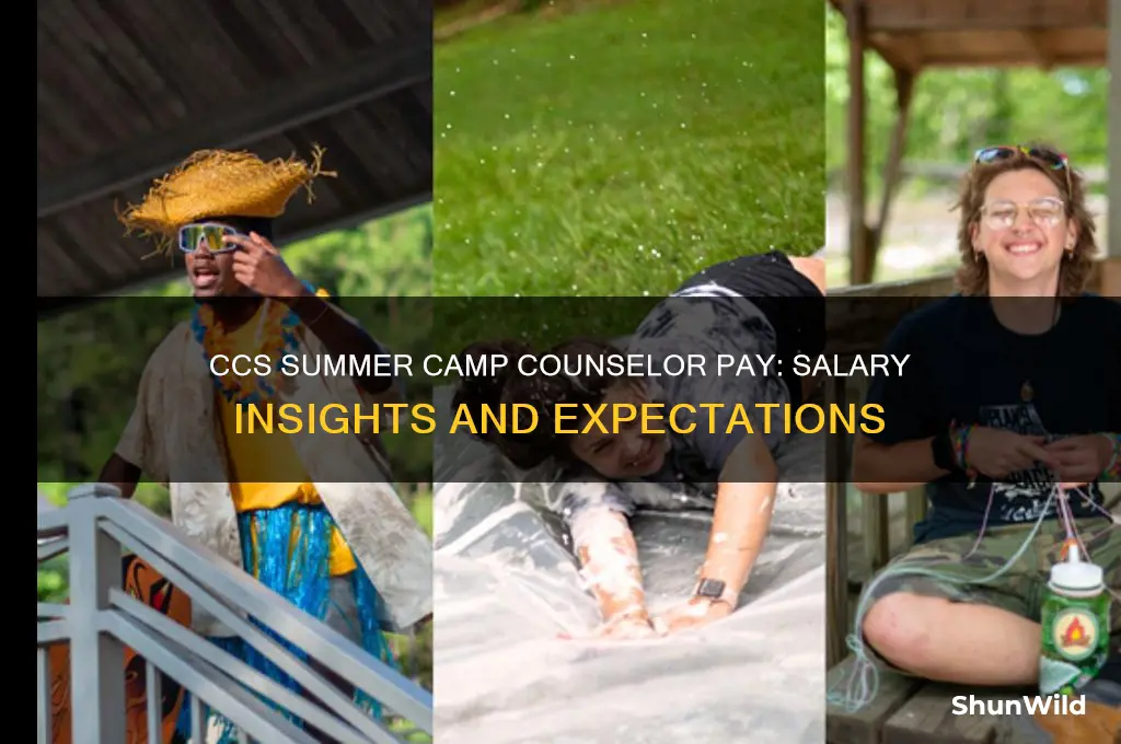 how much does ccs summer camp consoluer get paid