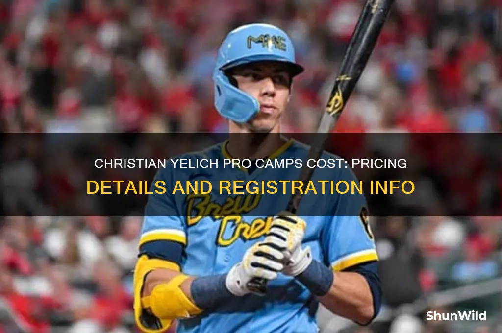 how much does christian yelich pro camps cost