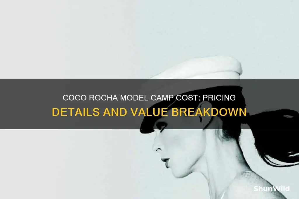 how much does coco rocha model camp cost