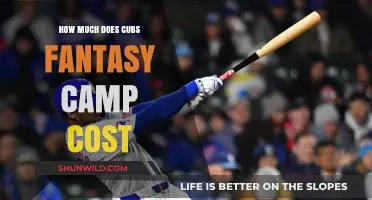 Cubs Fantasy Camp Cost: Pricing Details and Experience Value Revealed