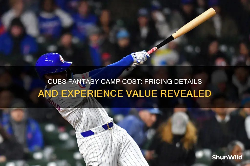 how much does cubs fantasy camp cost