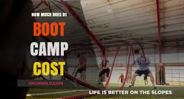 D1 Boot Camp Cost Breakdown: Pricing and Value Explained
