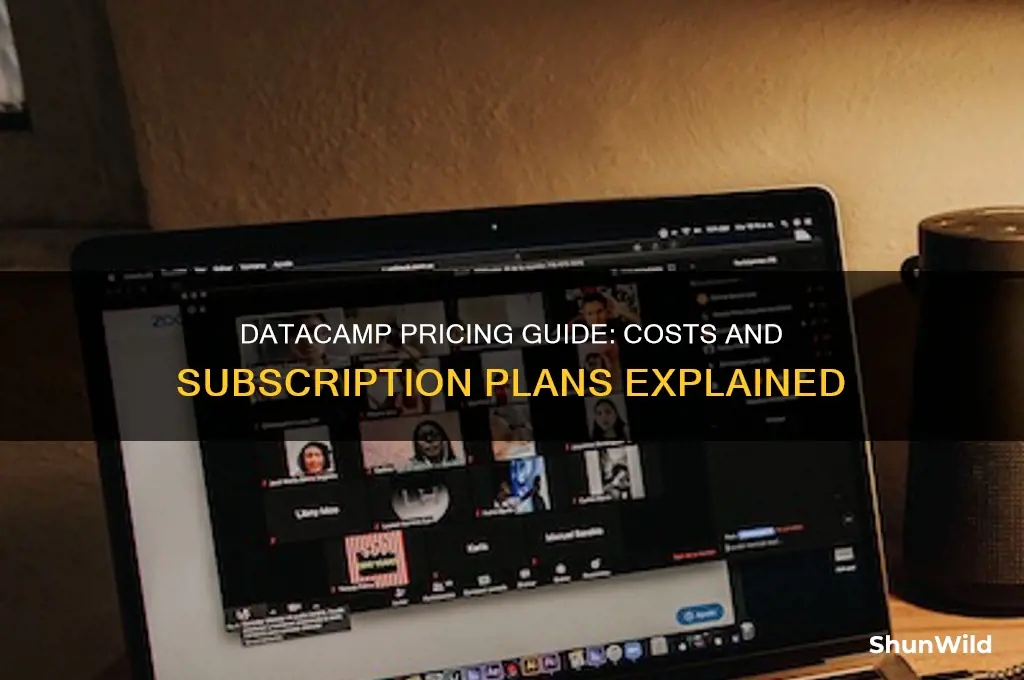 how much does data camp cost