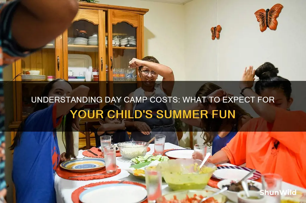 how much does day camp cost