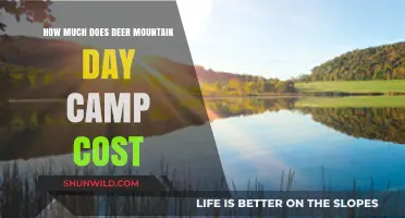 Deer Mountain Day Camp Cost: Affordable Summer Fun for Kids