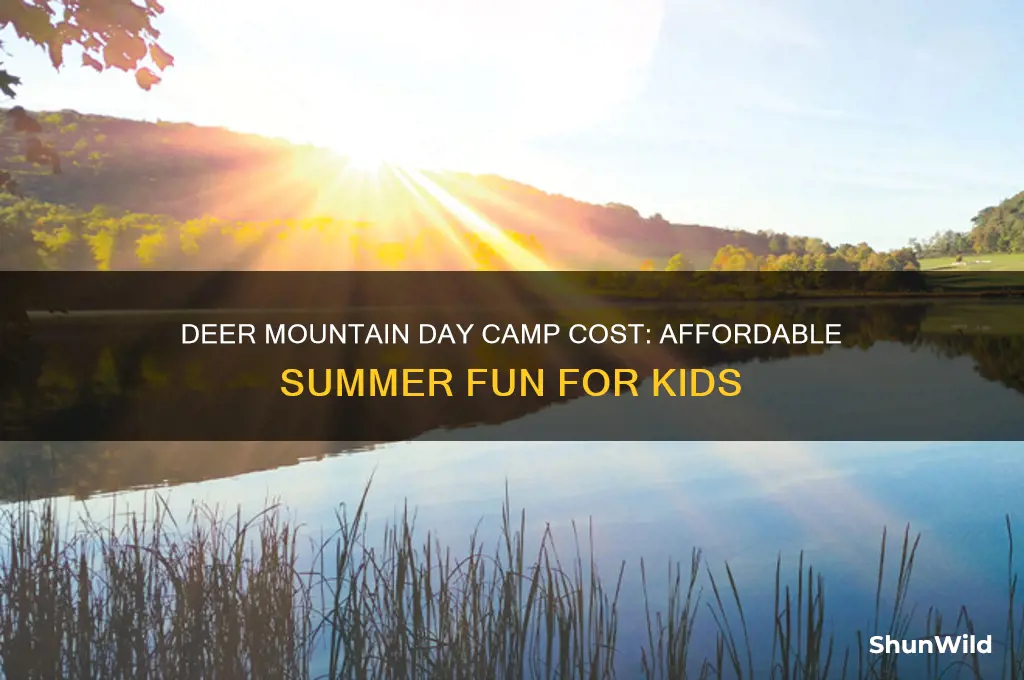how much does deer mountain day camp cost