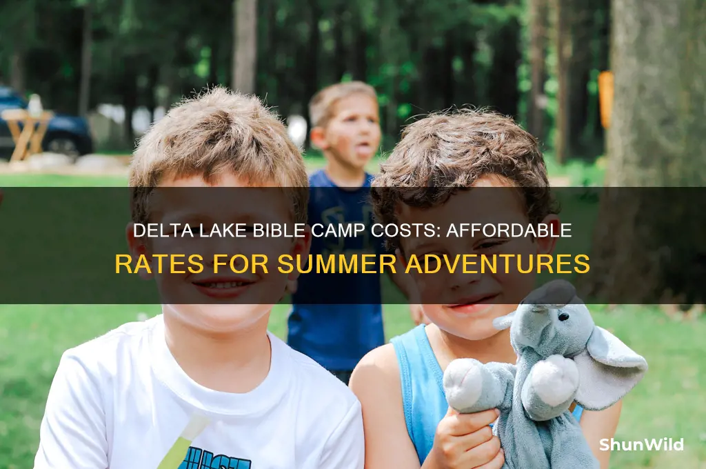 how much does delta lake bible camp cost