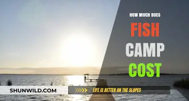 Fish Camp Costs: Budgeting for Your Ultimate Fishing Adventure