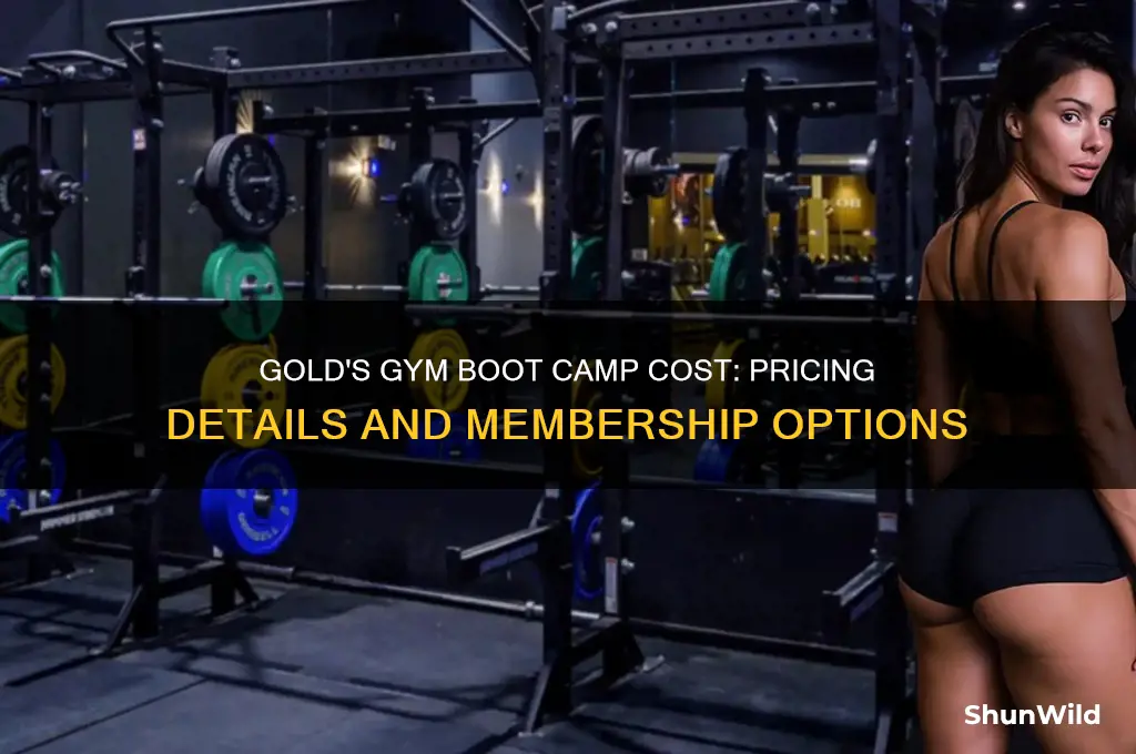 how much does gold