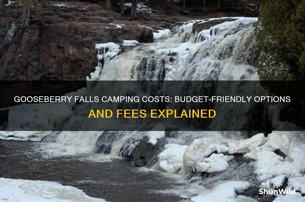 how much does gooseberry falls camping cost