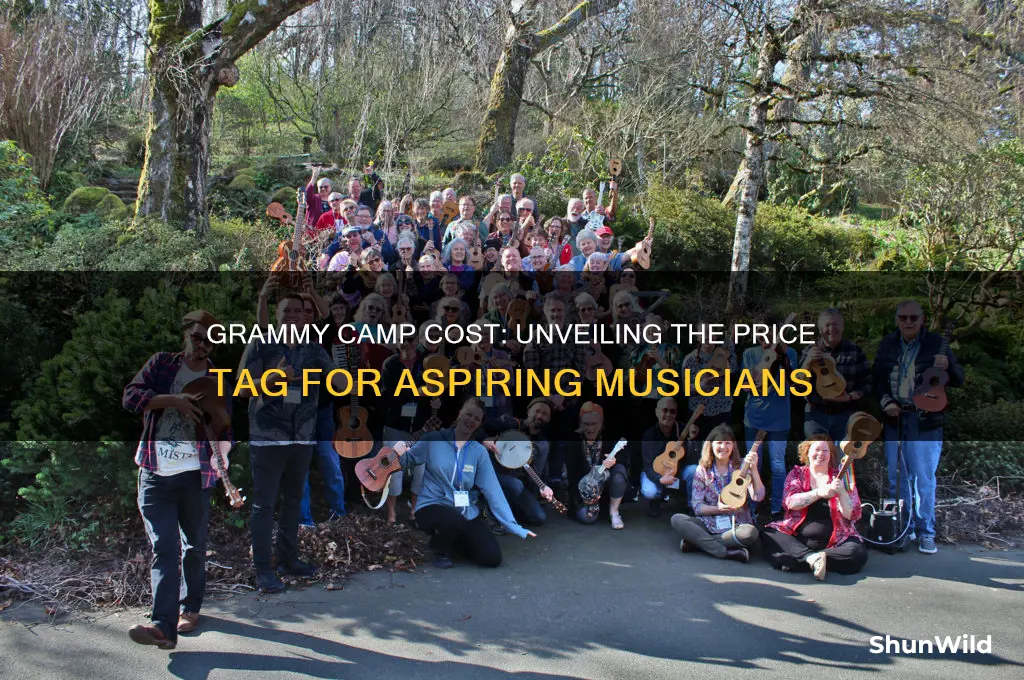 how much does grammy camp cost