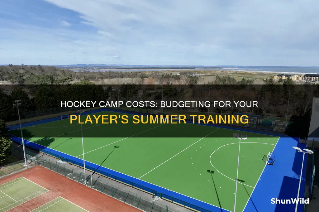 how much does hockey camp cost