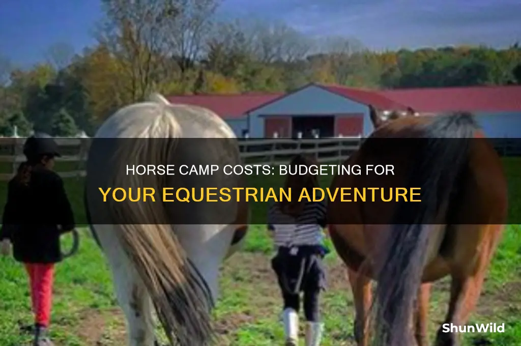 how much does horse camp cost