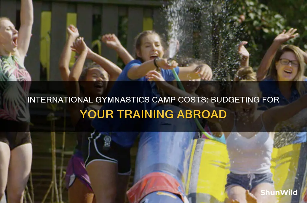 how much does international gymnastics camp cost