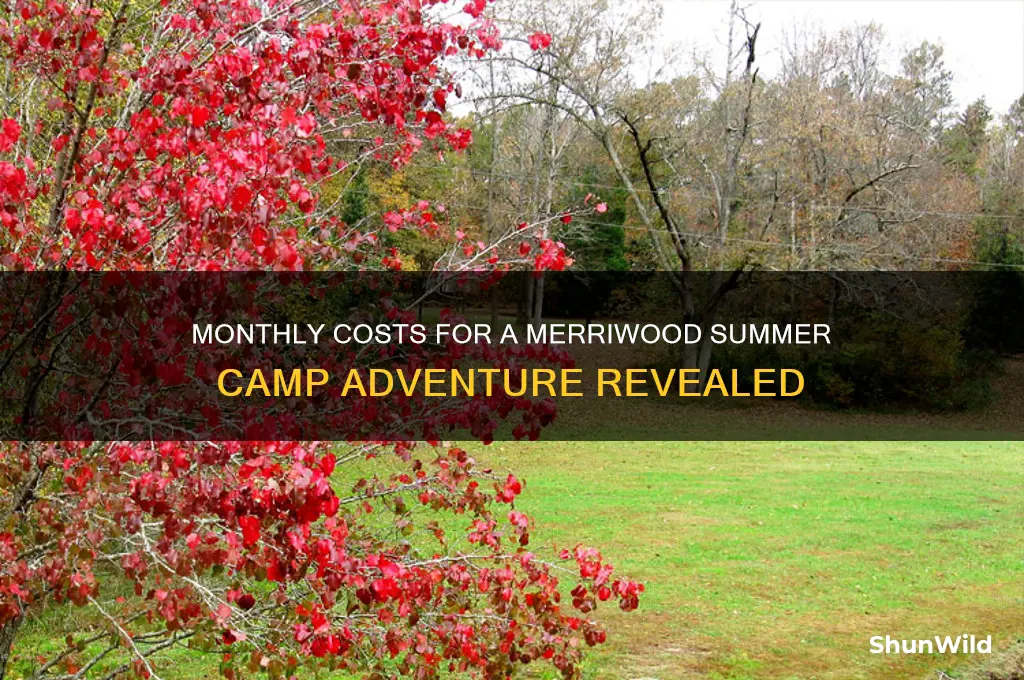 how much does it cost atmonth long camp at merriwood
