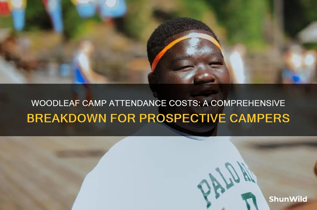how much does it cost to attend woodleaf camp
