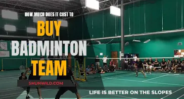 The Expense of Owning a Badminton Team
