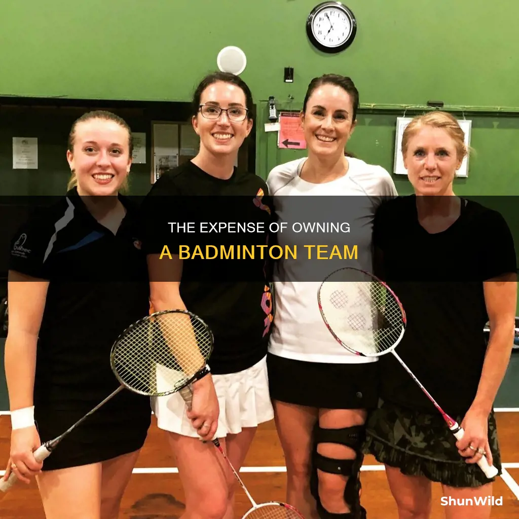 how much does it cost to buy badminton team