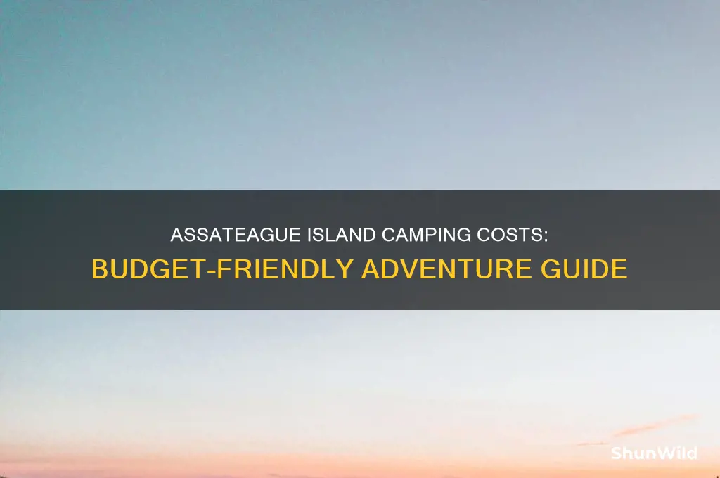 how much does it cost to camp at assateague island