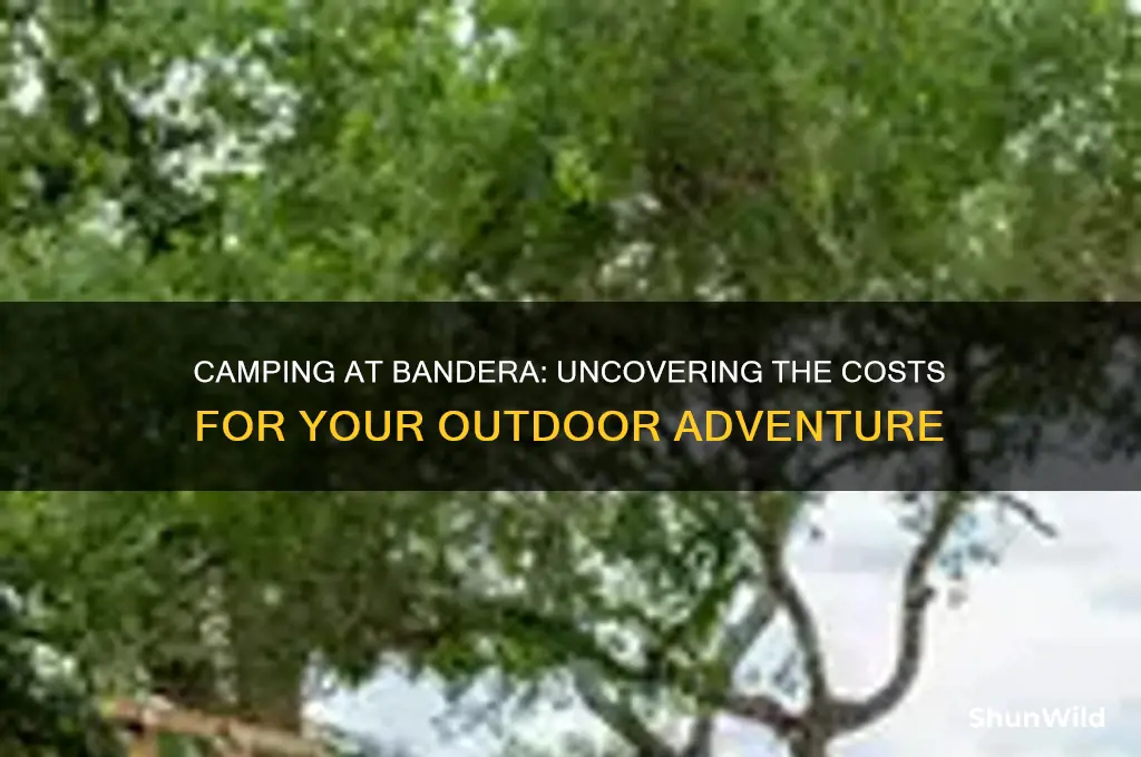 how much does it cost to camp at bandera