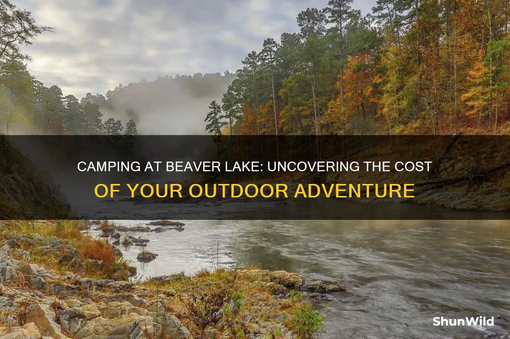 how much does it cost to camp at beaver lake