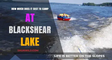 Camping at Blackshear Lake: Uncovering the Cost of Your Adventure