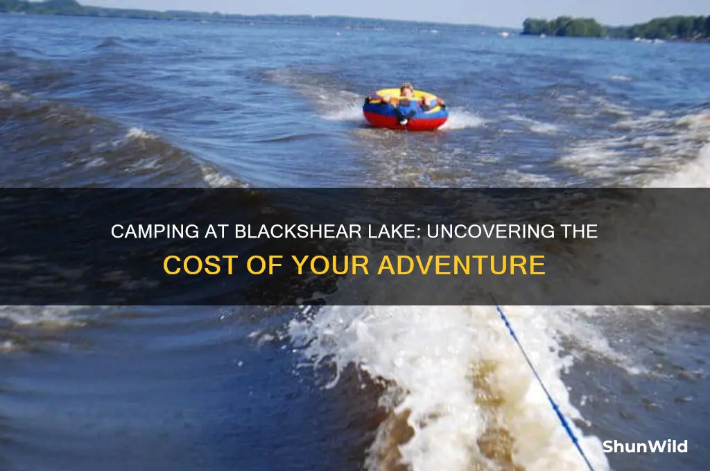 how much does it cost to camp at blackshear lake