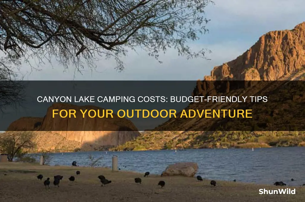 how much does it cost to camp at canyon lake
