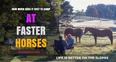 Faster Horses Camping Costs: Budgeting for Your Festival Adventure