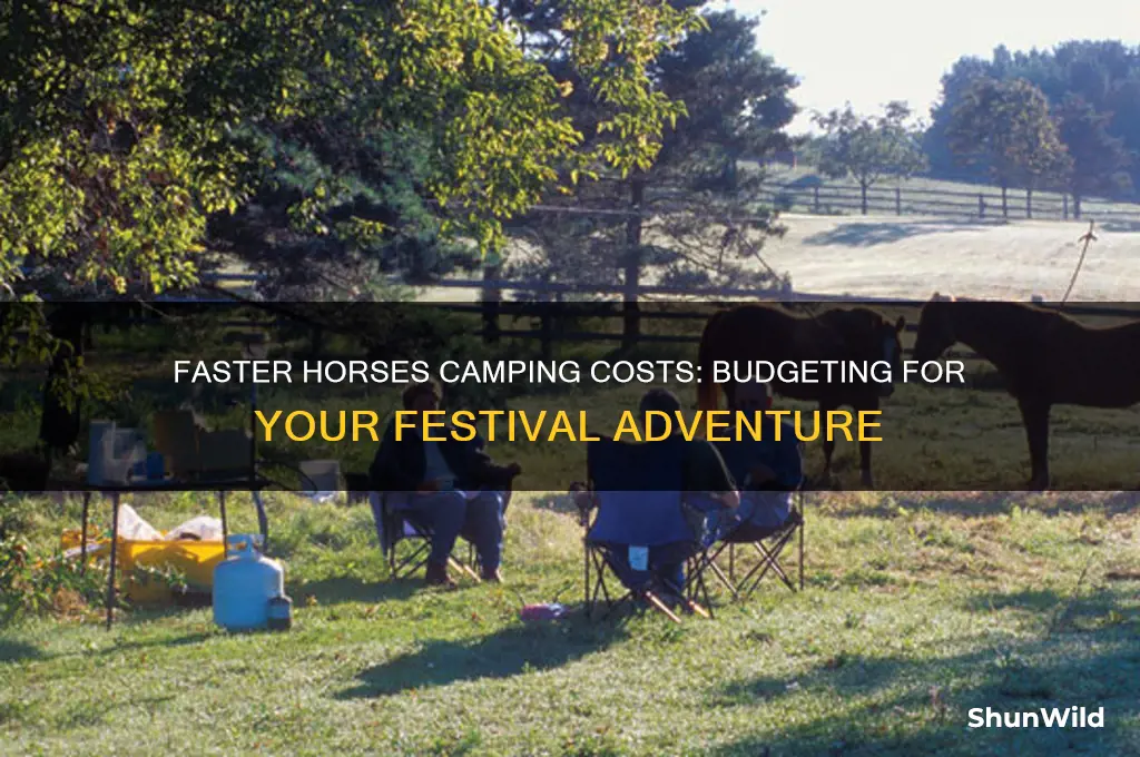 how much does it cost to camp at faster horses