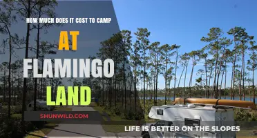 Flamingo Land Camping Costs: Budget-Friendly Adventure Guide