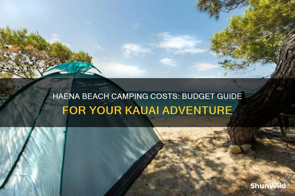 how much does it cost to camp at haena beach