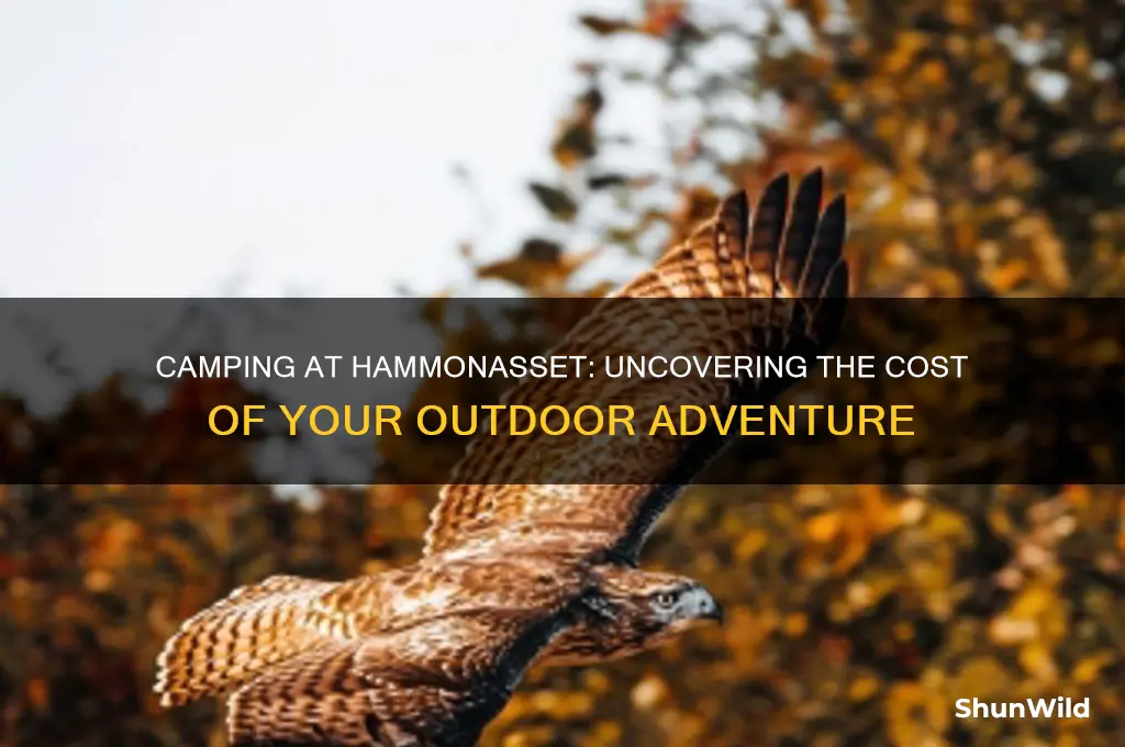 how much does it cost to camp at hammonasset
