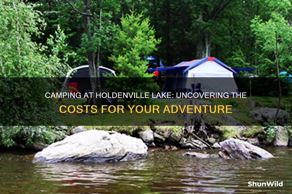 how much does it cost to camp at holdenville lake