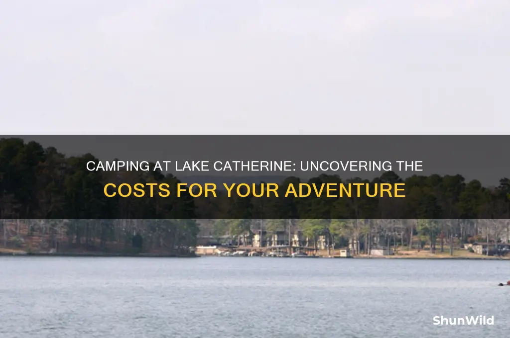 how much does it cost to camp at lake catherine