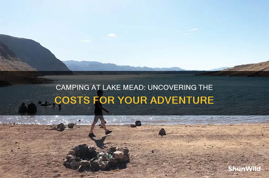 how much does it cost to camp at lake mead