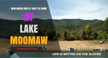 Camping at Lake Moomaw: Cost Breakdown and Budget Tips