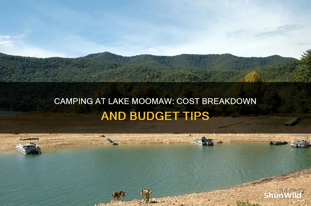 how much does it cost to camp at lake moomaw