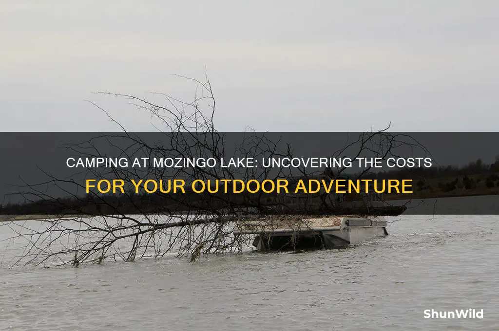 how much does it cost to camp at mozingo lake