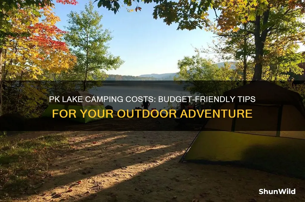 how much does it cost to camp at pk lake