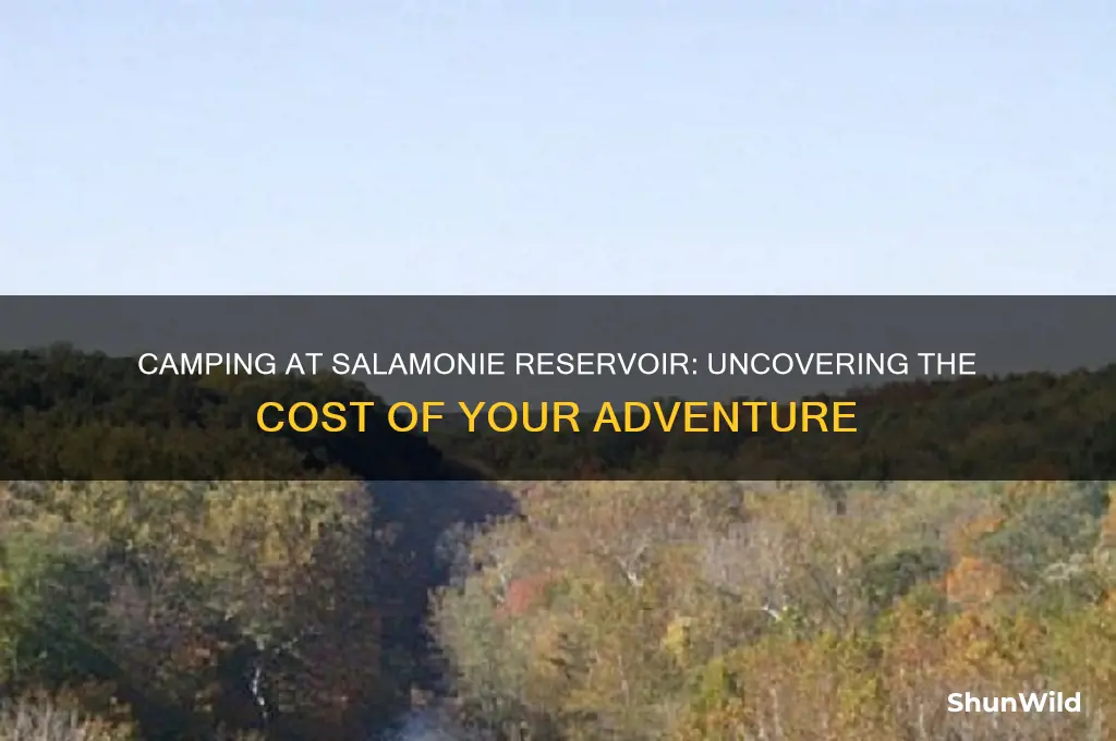 how much does it cost to camp at salamonie reservoir