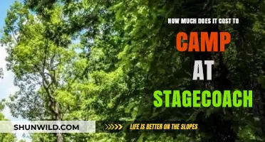 Stagecoach Camping Costs: Budgeting for Your Festival Adventure