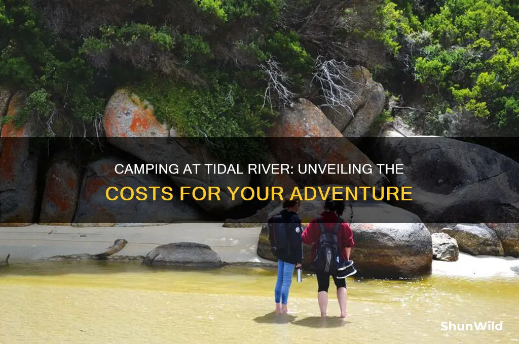 how much does it cost to camp at tidal river