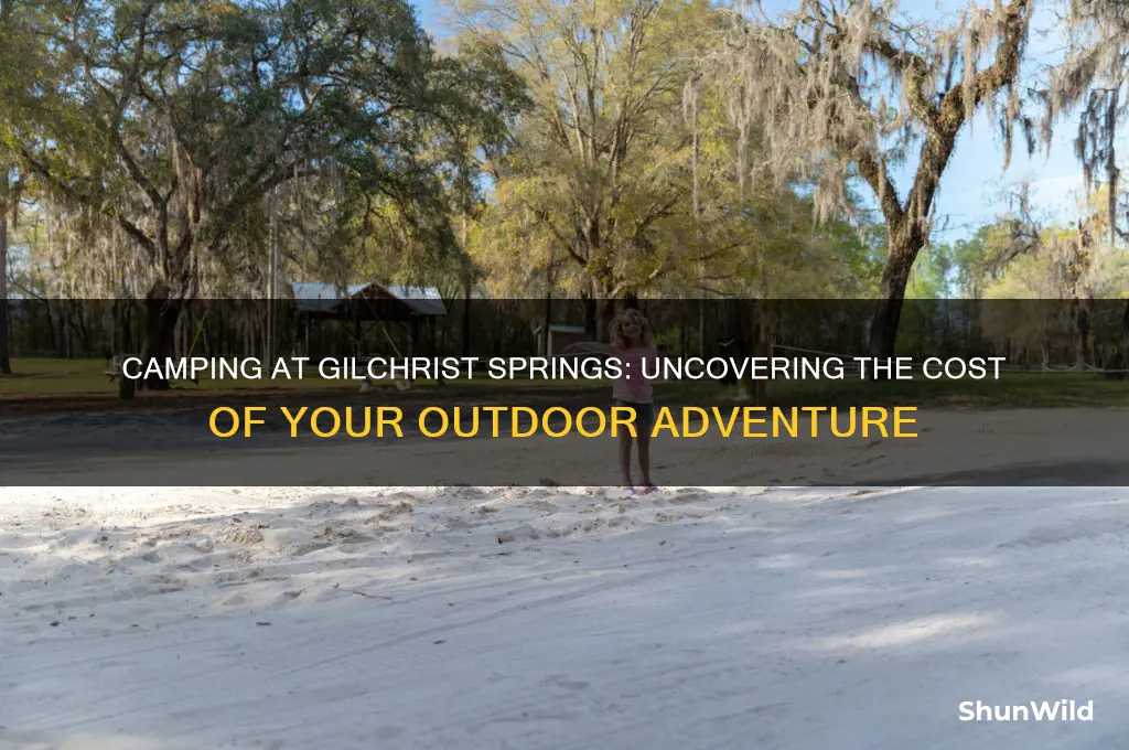 how much does it cost to camp atgilchrist springs