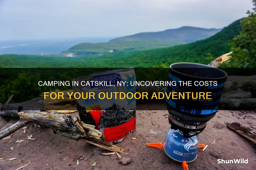 how much does it cost to camp in catskill ny