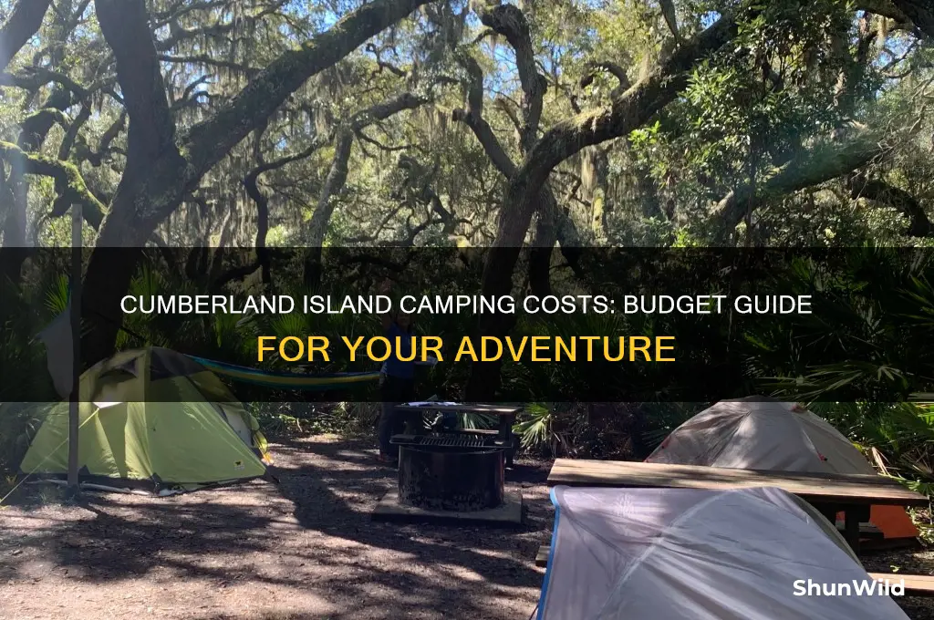 how much does it cost to camp in cumberland island