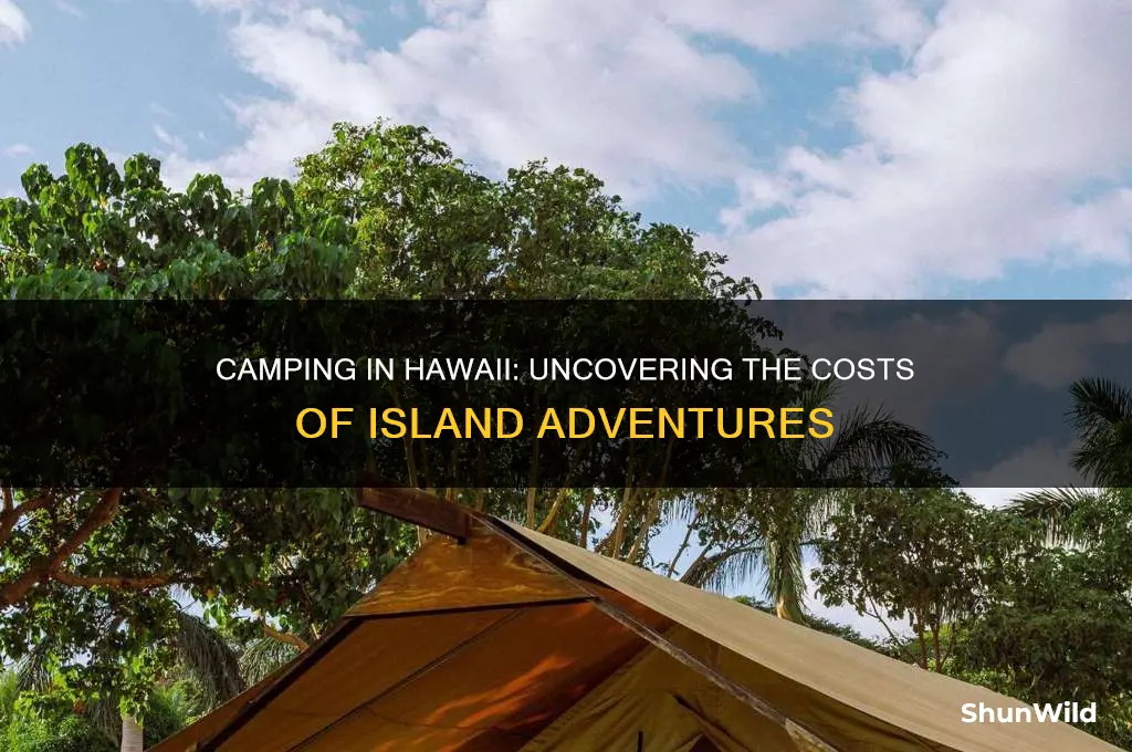 how much does it cost to camp in hawaii