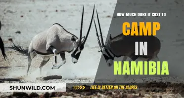 Exploring Namibia: Camping Costs and Budget-Friendly Adventure Tips